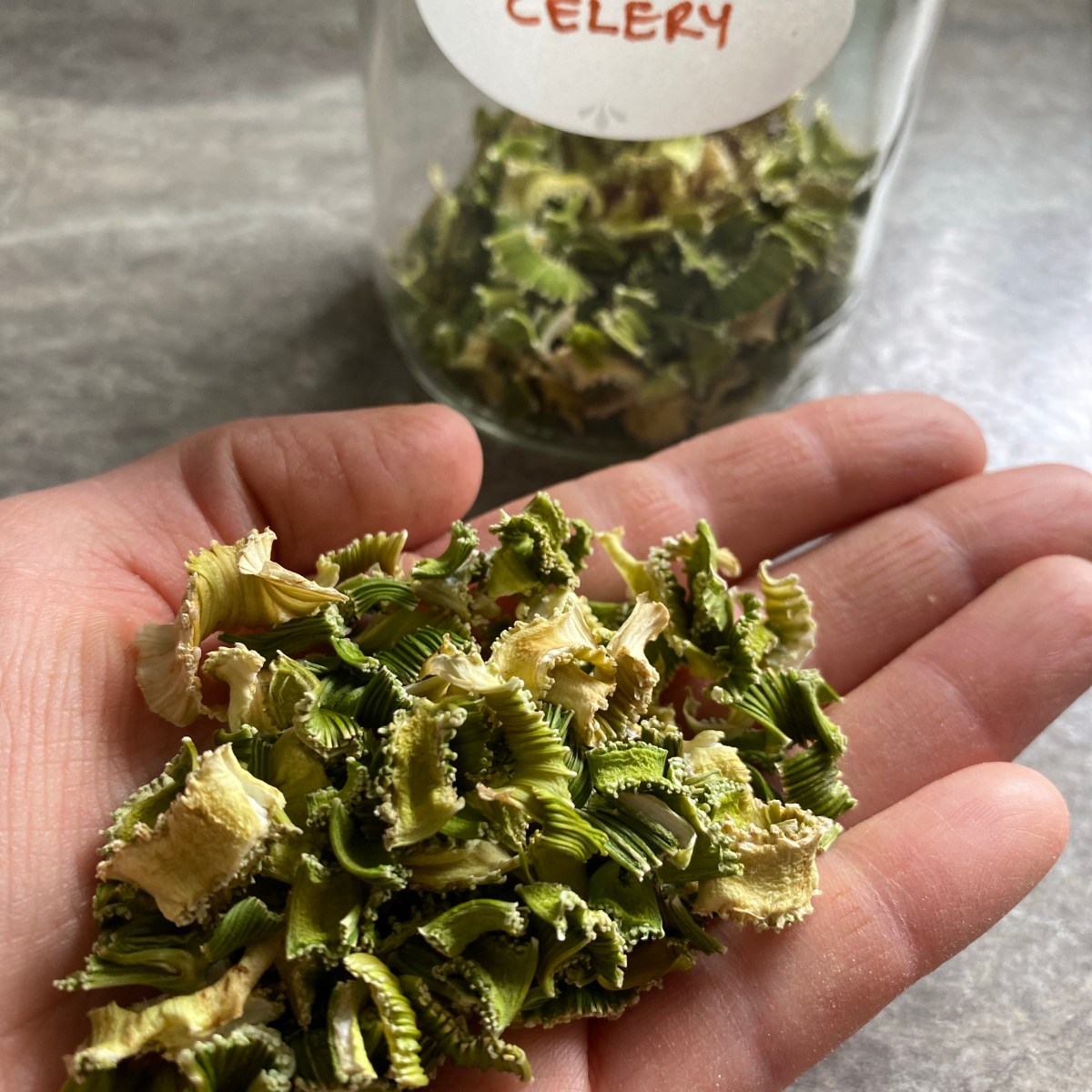 How to Dehydrate Celery for Flavorful&nbsp;Recipes