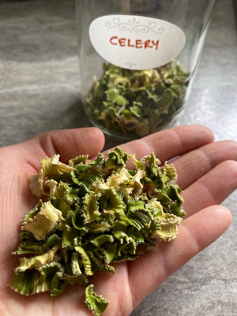 How to Dehydrate Celery for Flavorful&nbsp;Recipes