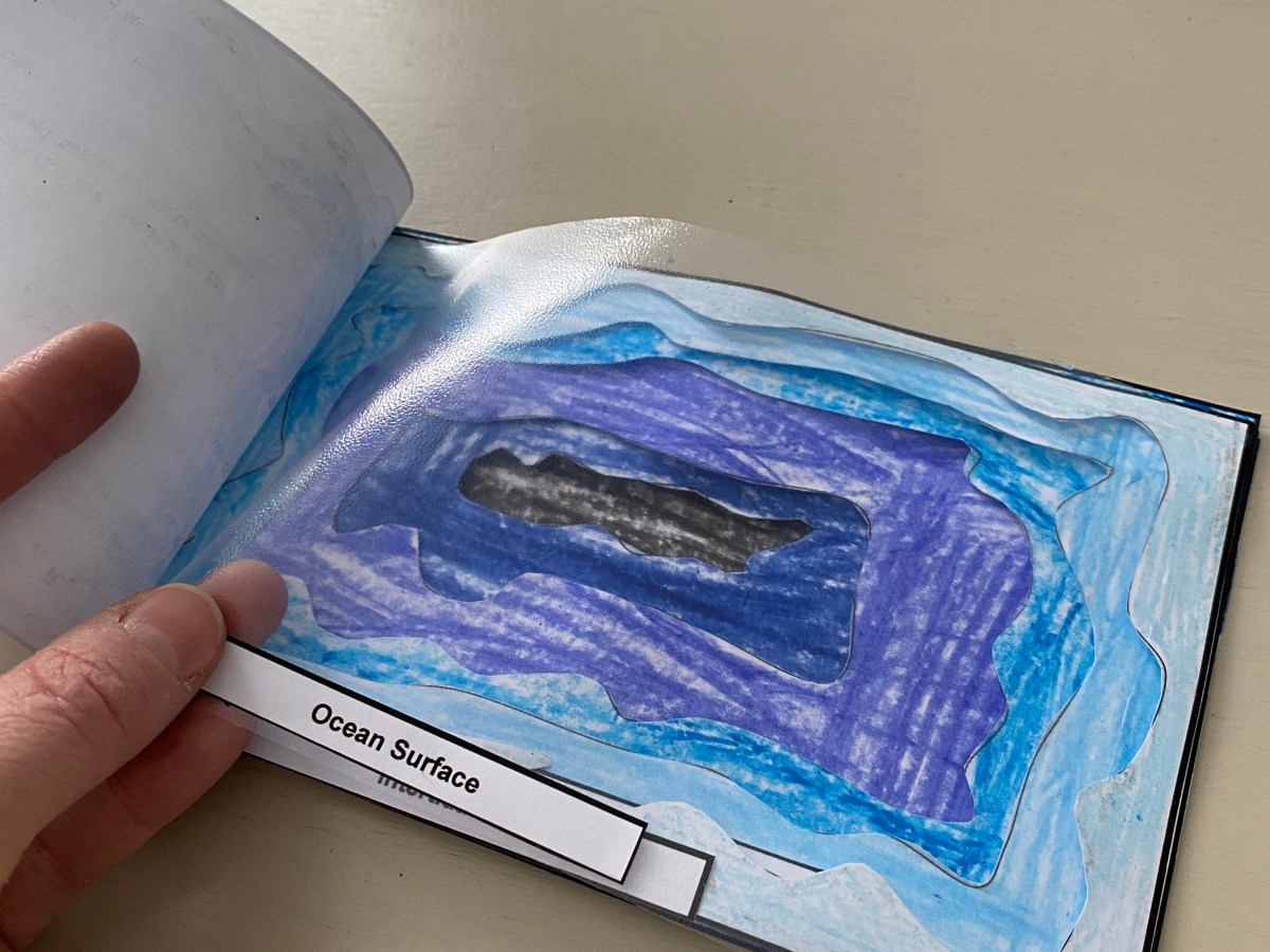 Ocean Pelagic Zone Booklet: A Fun Learning Resource for&nbsp;Students