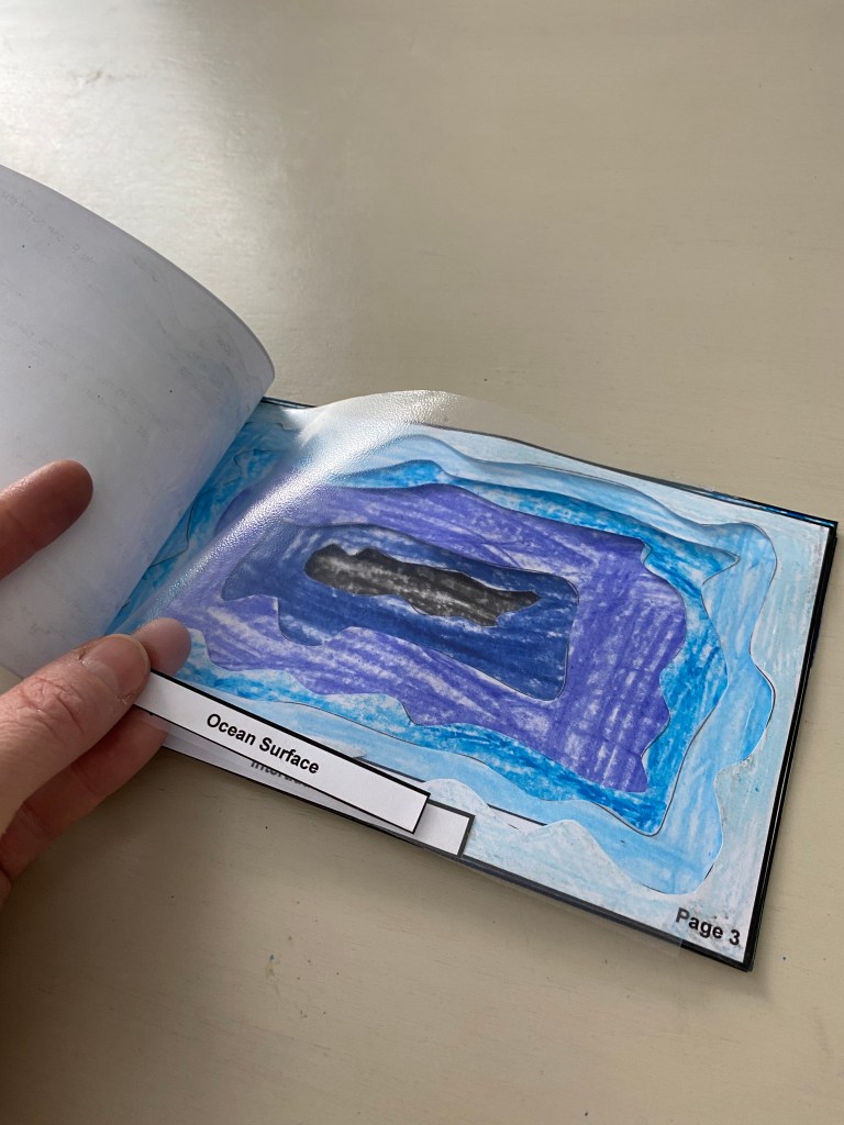 Ocean Pelagic Zone Booklet: A Fun Learning Resource for&nbsp;Students