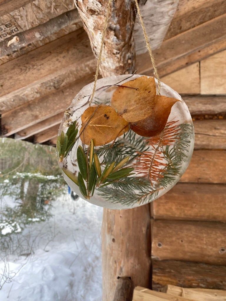 How to Make an Ice&nbsp;Sun-Catcher