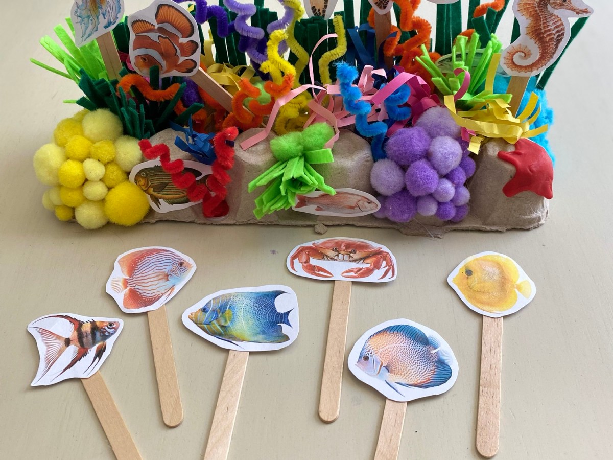 Create a Mini Coral Reef&nbsp;Craft