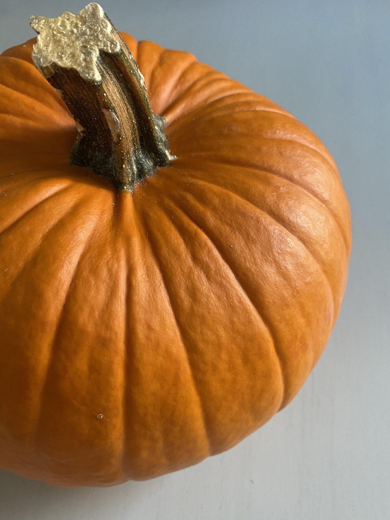 Make Your Own Pumpkin Puree – Northbird