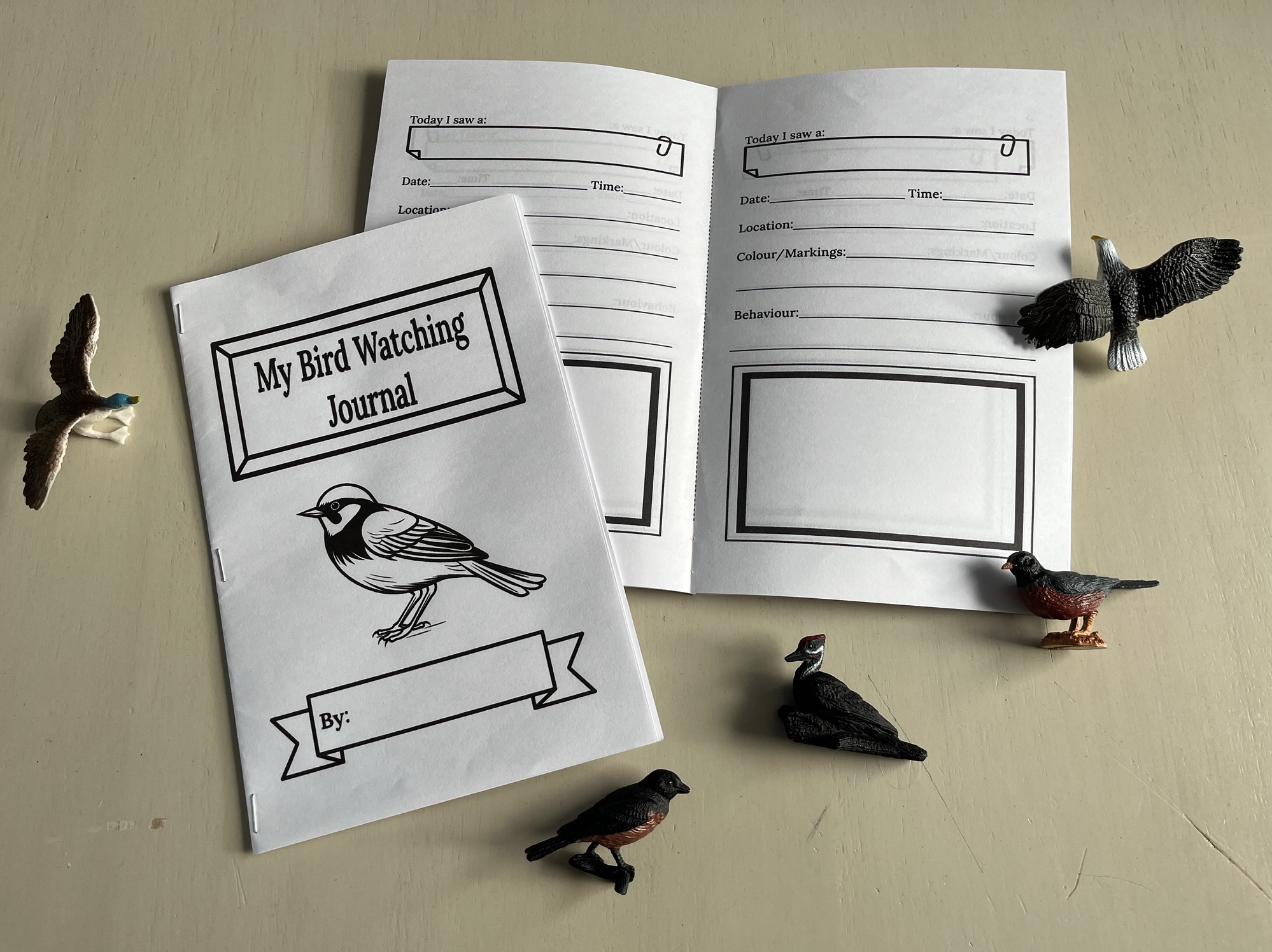 Birdwatching Binocular Craft with Bird Survey Printables – Northbird