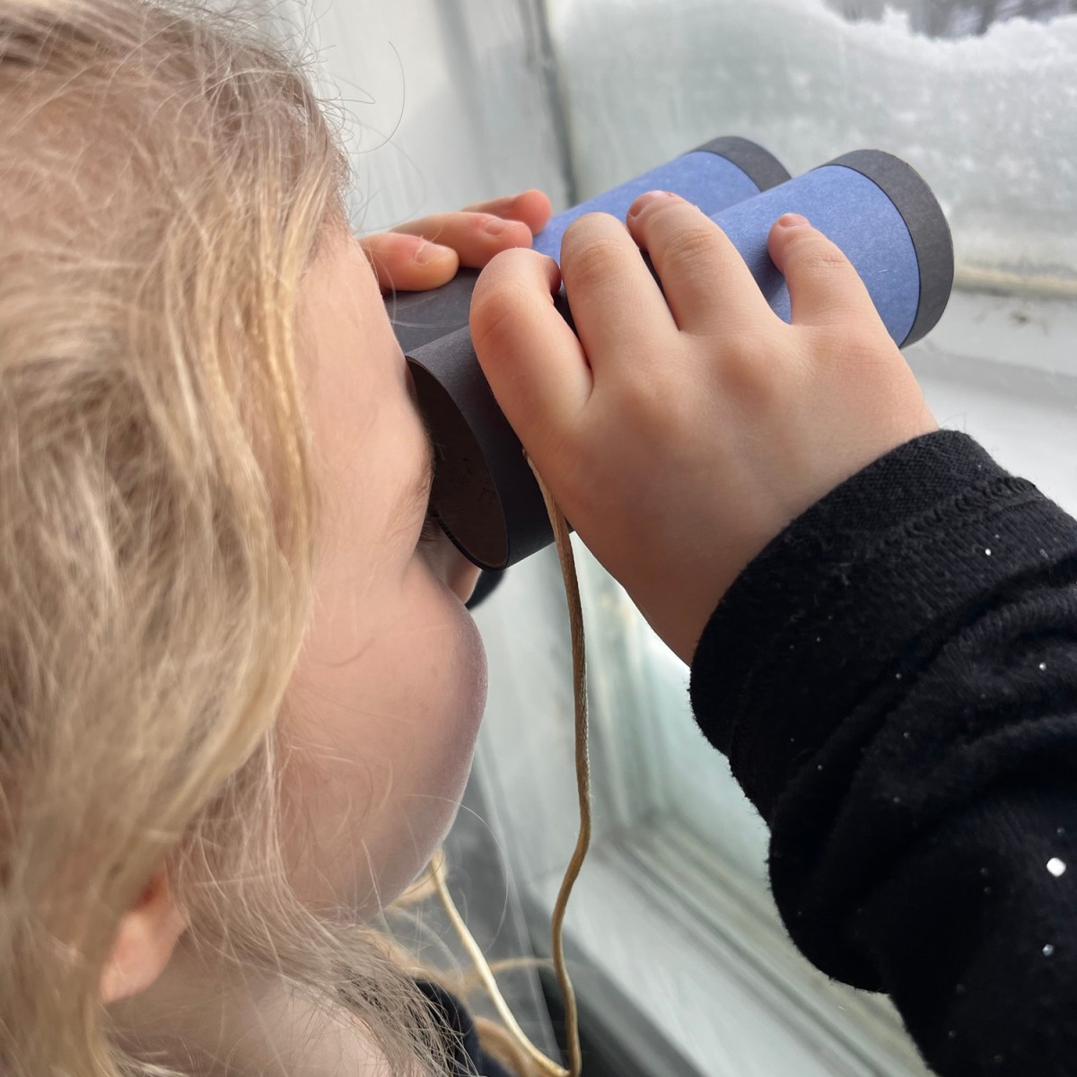 Birdwatching Binocular Craft with Bird Survey&nbsp;Printables