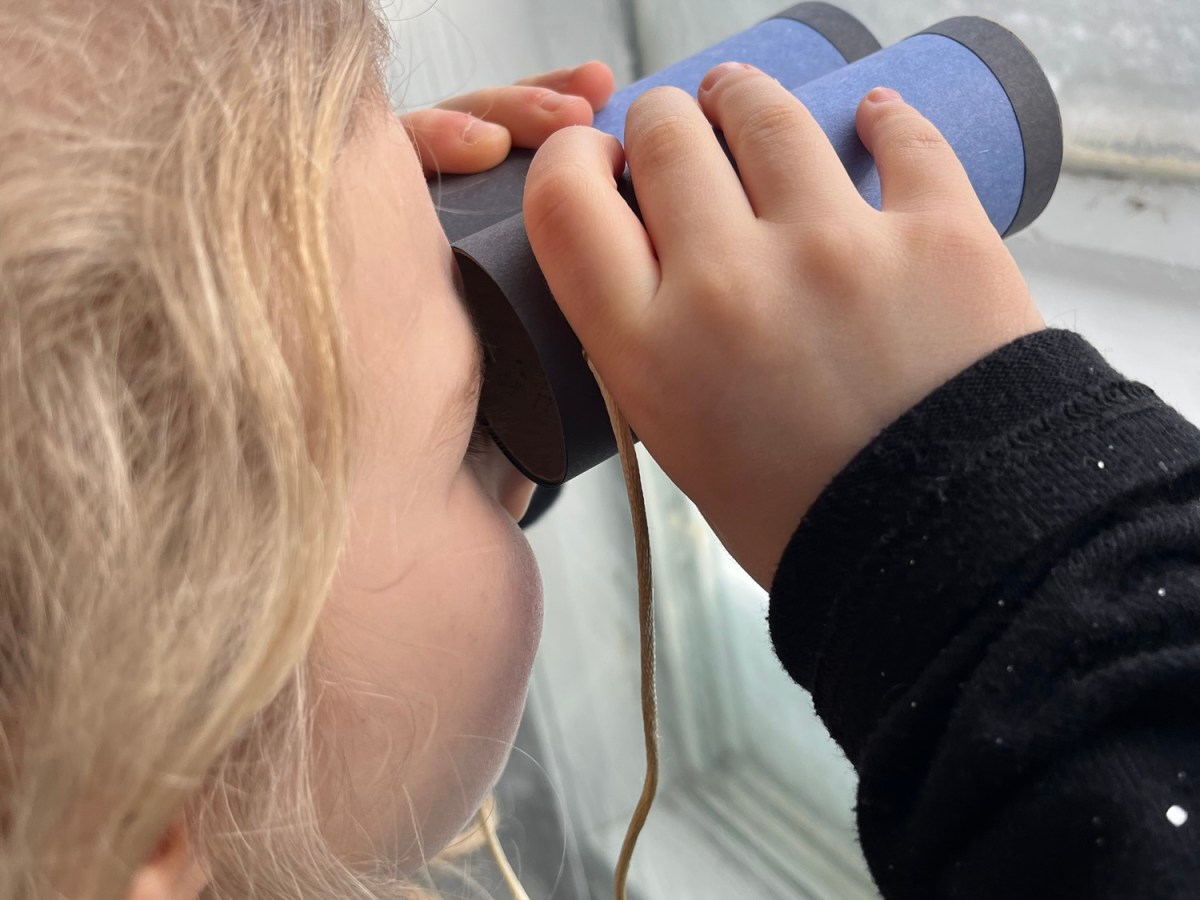 Birdwatching Binocular Craft with Bird Survey&nbsp;Printables